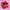 Gift Box Upgrade - Rotating Eternal Rose Gift Box Set